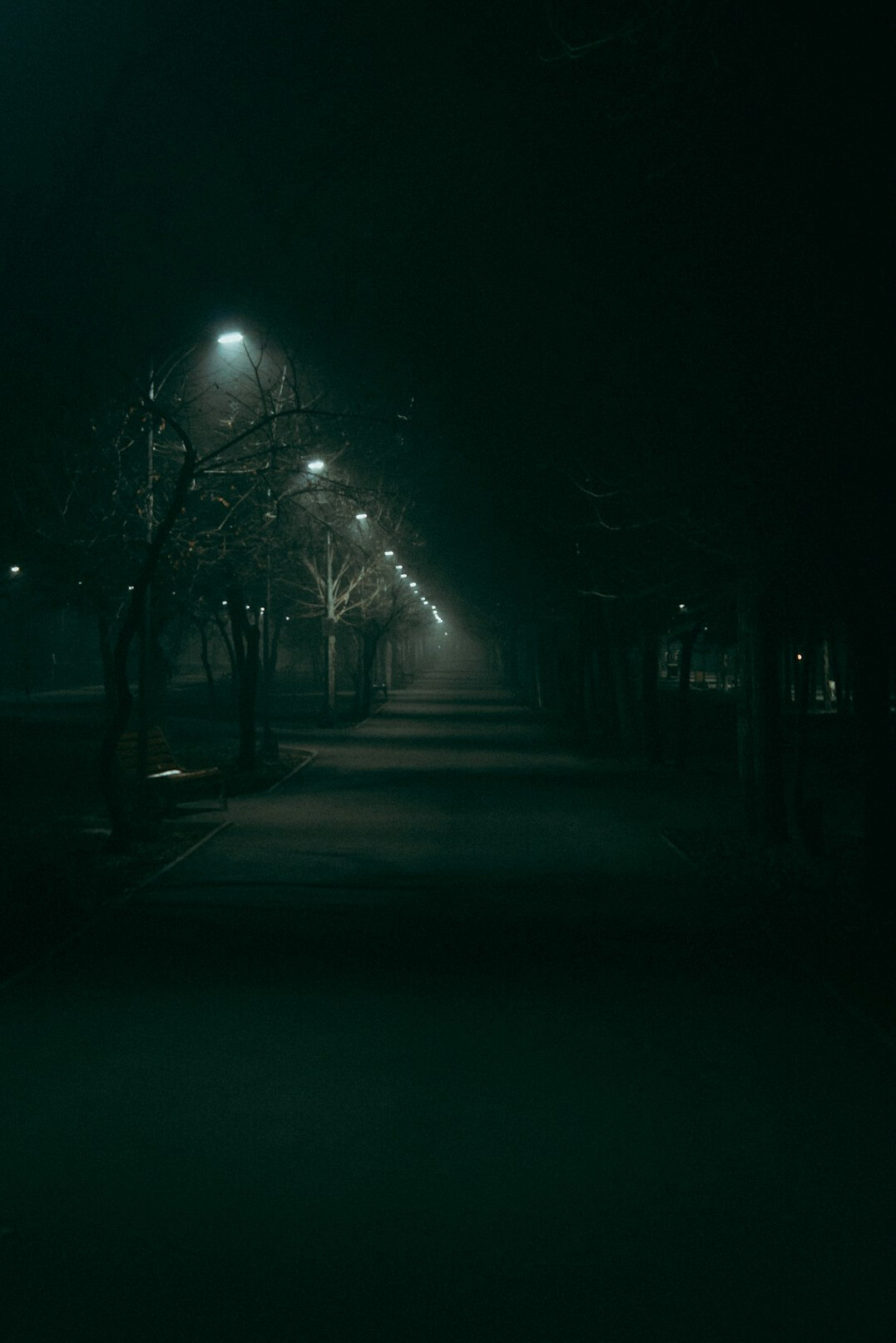 mysterious night scene